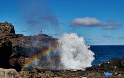 The State of Hawaii Claims That Its Economy Is Almost Recession-Proof
